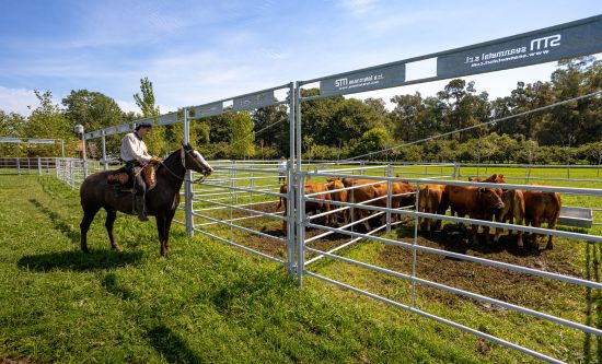 Productos para el manejo del ganado