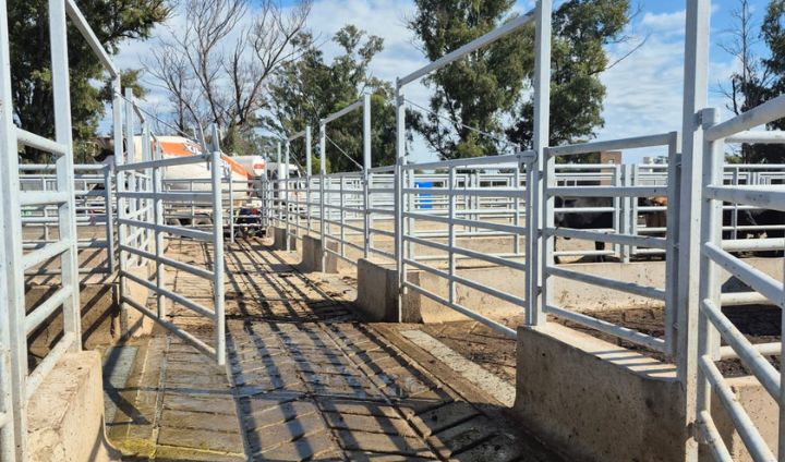 Instalaciones ganaderas 3