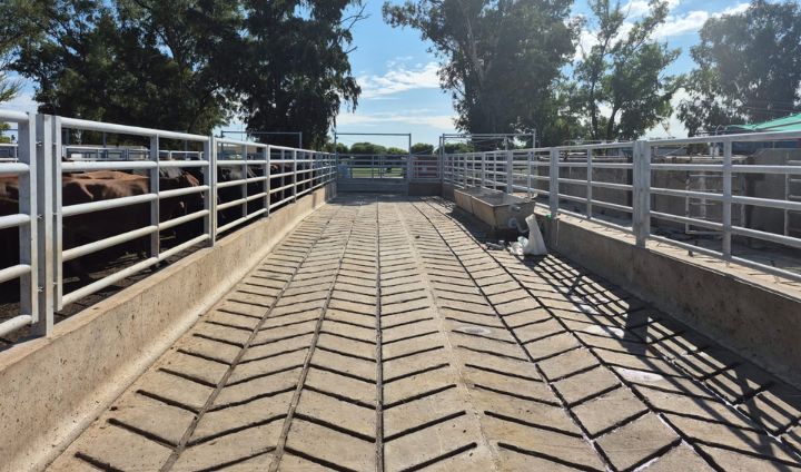 Instalaciones ganaderas 4